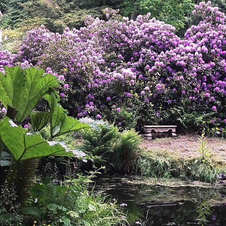 Villa Rapunzel Trifft Dornroeschen Rosenthal-Bielatal Esterno foto