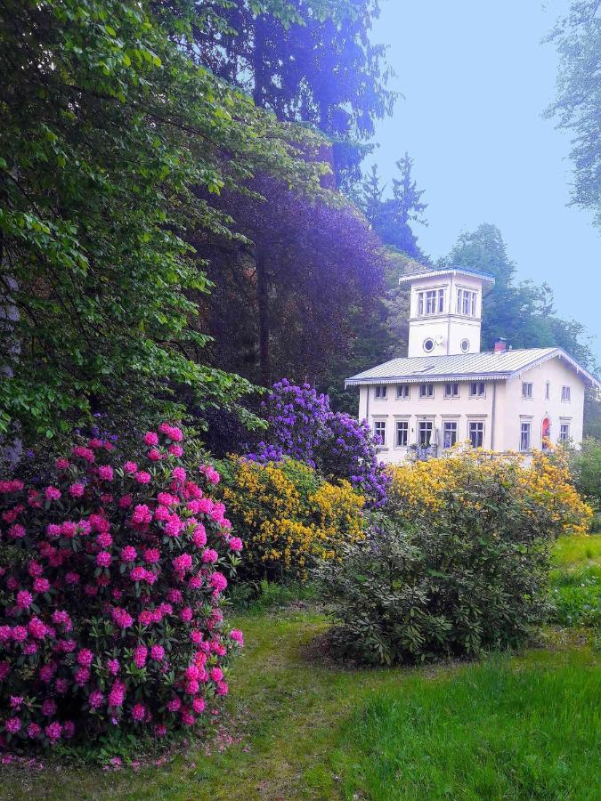 Villa Rapunzel Trifft Dornroeschen Rosenthal-Bielatal Esterno foto