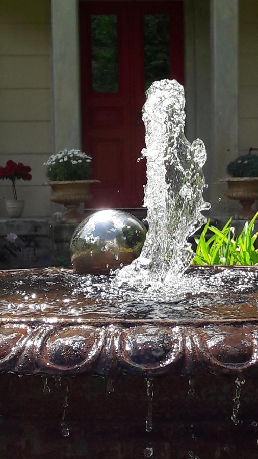 Villa Rapunzel Trifft Dornroeschen Rosenthal-Bielatal Esterno foto