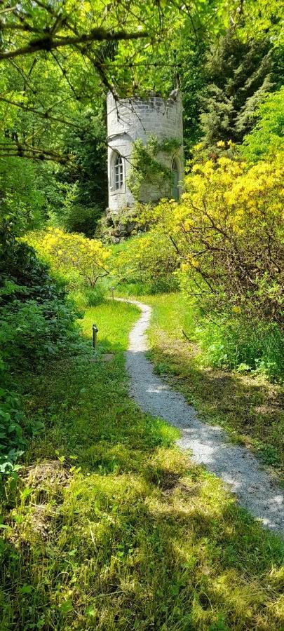 Villa Rapunzel Trifft Dornroeschen Rosenthal-Bielatal Esterno foto