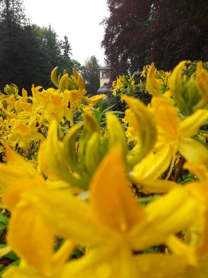 Villa Rapunzel Trifft Dornroeschen Rosenthal-Bielatal Esterno foto
