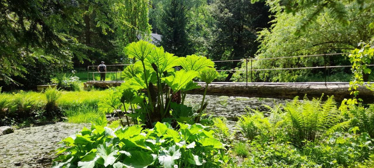 Villa Rapunzel Trifft Dornroeschen Rosenthal-Bielatal Esterno foto