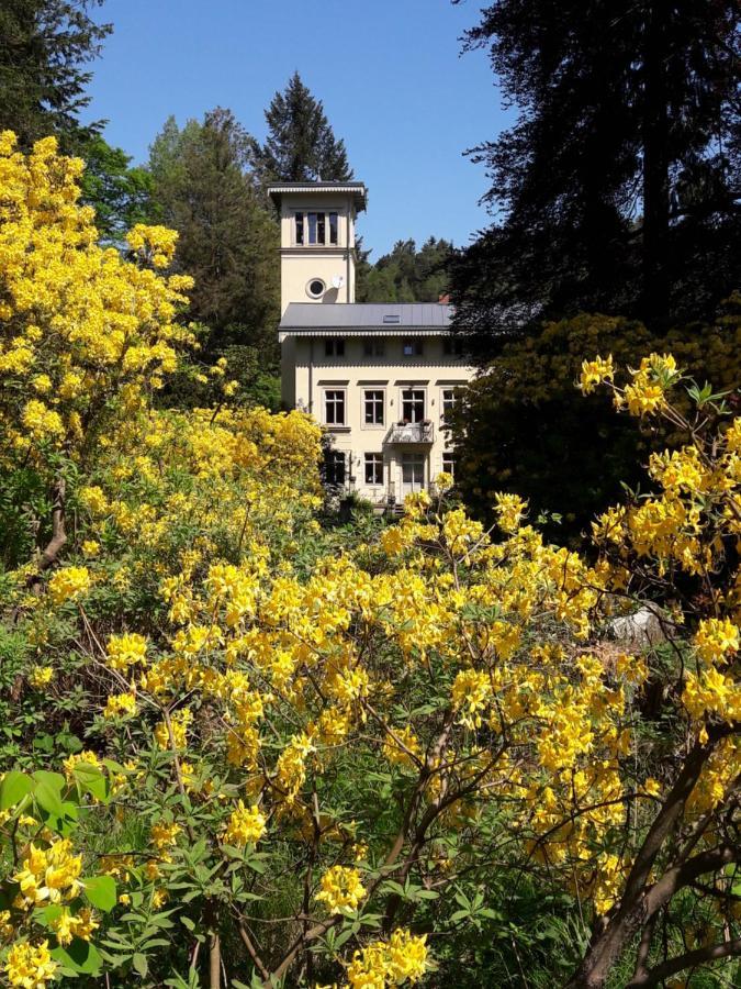 Villa Rapunzel Trifft Dornroeschen Rosenthal-Bielatal Esterno foto