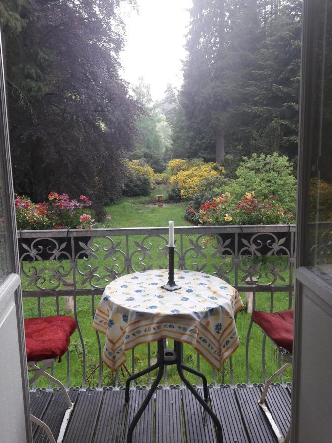 Villa Rapunzel Trifft Dornroeschen Rosenthal-Bielatal Esterno foto